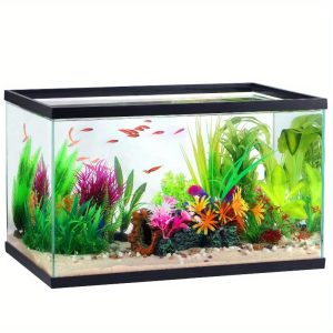10 Gallon Extra-Large Square Transparent Glass Aquarium Tank - Durable, Easy-to-Clean, and Uncharged - Perfect for Freshwater or Saltwater Aquariums, Decorative Displays, and Home Decor